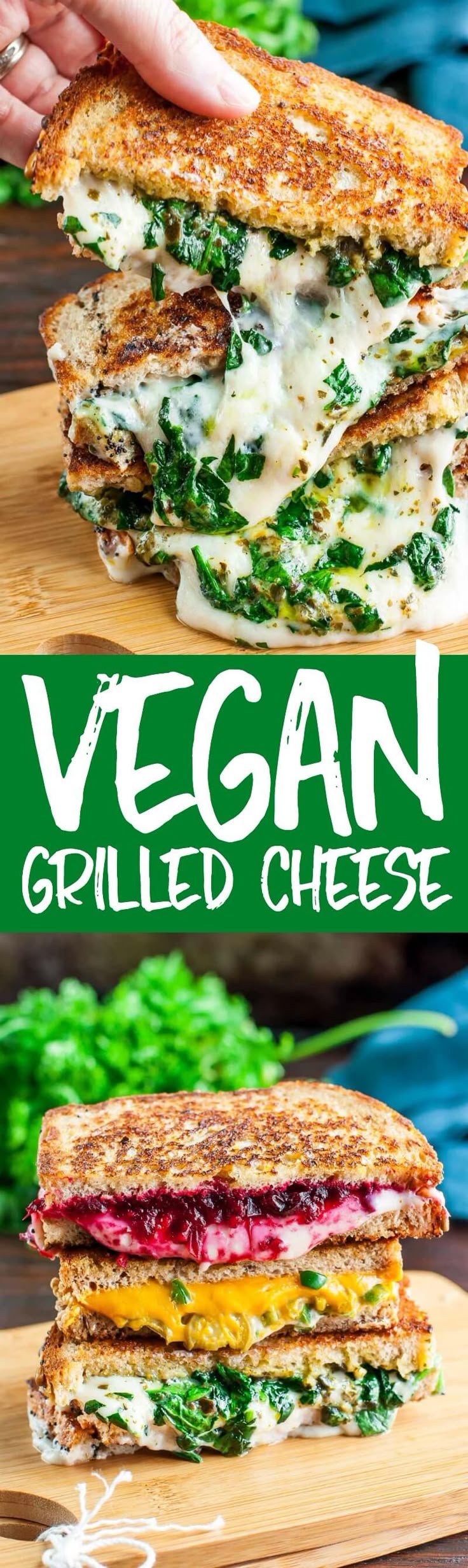 Easy to cook vegetarian food recipes Easy to cook vegetarian food recipes