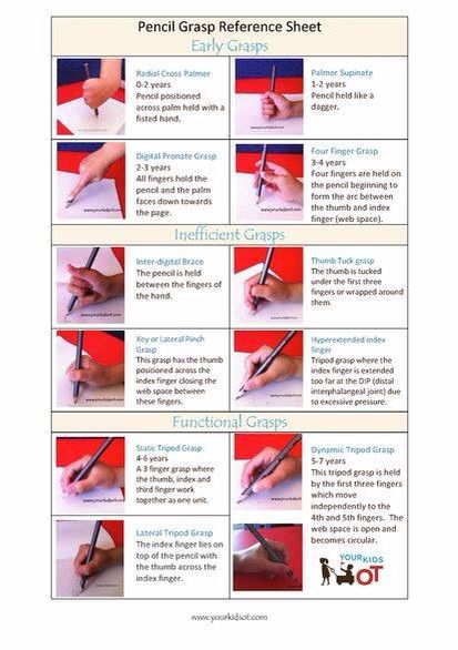 Neonatal reflexes essay