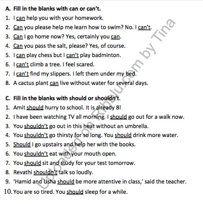 CBSE Class 3 English Grammar Worksheets English grammar worksheets CBSE Class 3 English Grammar Worksheets English grammar worksheets