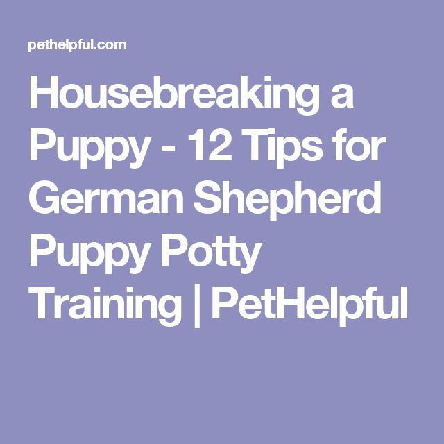 tips for housebreaking a puppy best 25 potty humor ideas on potty age how to potty tips for housebreaking a puppy best 25 potty humor ideas on potty age how to potty