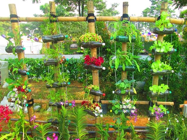 40 Brilliant Plastic Bottle Garden Ideas | Recycled Garden, Bottle Garden, Reuse Plastic Bottles
