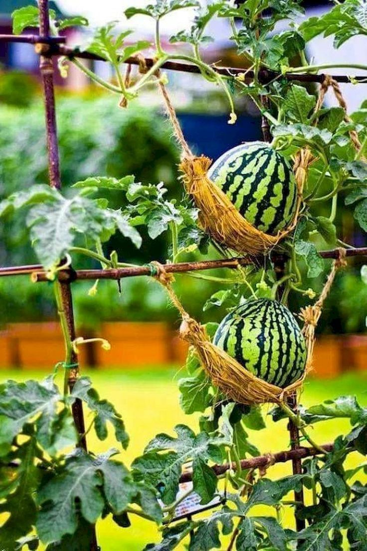70 erschwingliche Hinterhof-Gemüsegarten-Design-Ideen, #design #erschwingliche...