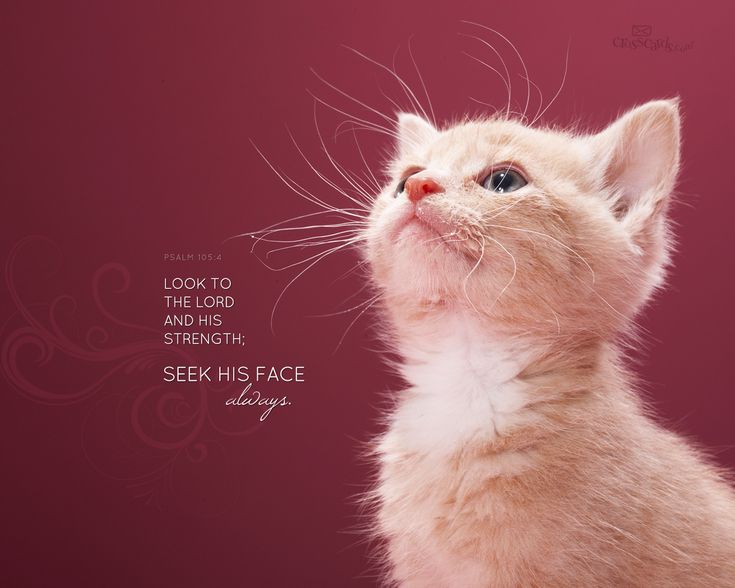 christian desktop wallpapers 1280 x 1024 inspiration children christmas card
