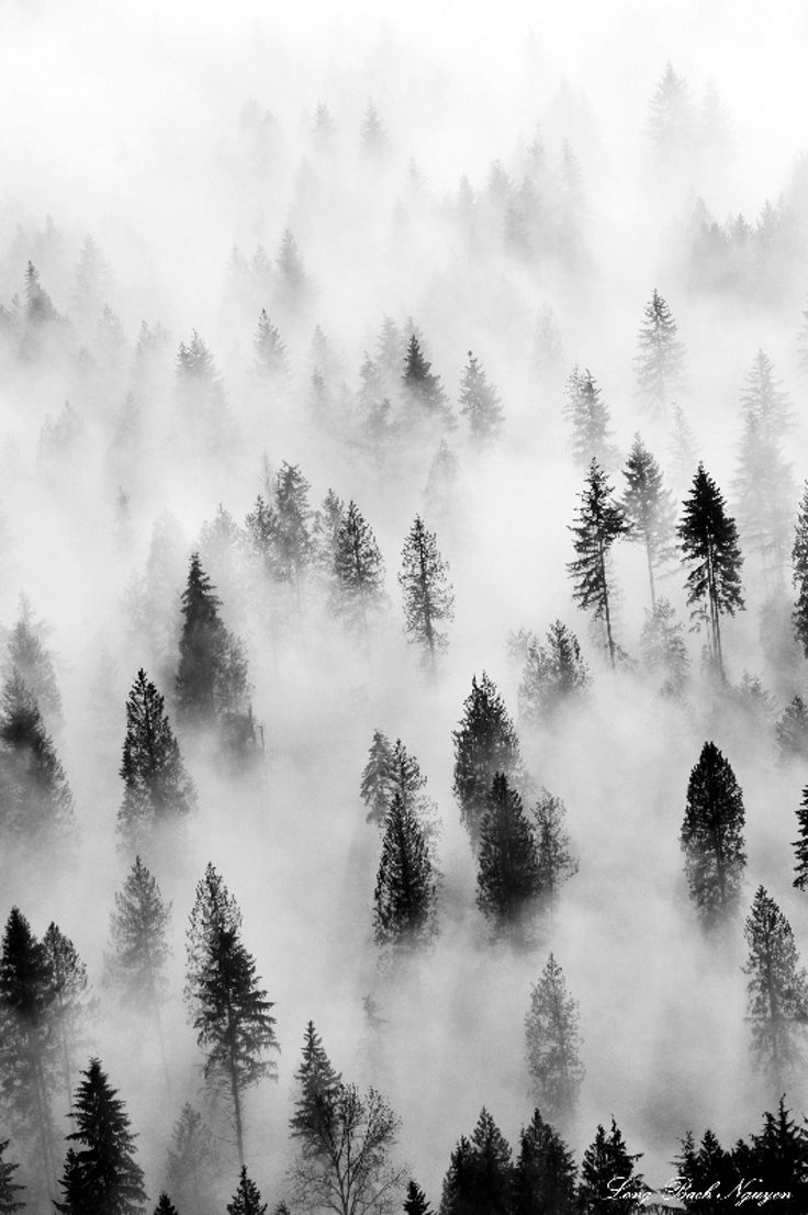 top 10 most amazing black and white photos with their cameras