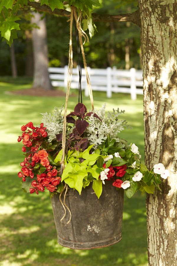 272 Best Cottage Garden Images On Pinterest 272 Best Cottage Garden Images On Pinterest