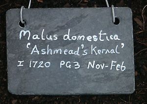 Personalised slate plant labels