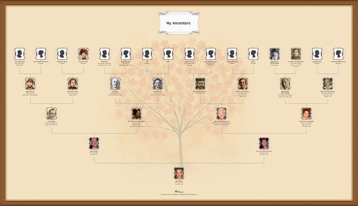 charts for family tree