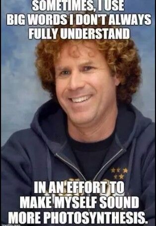 132 best school memes images on pinterest school memes, teaching c36daa545d41e9a0bfa02c56b617408a funny memes funny shit 132 best school memes images on pinterest school memes, teaching,Klonopin Meme