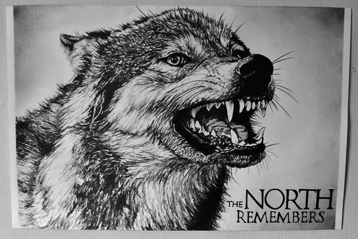 Game Of Thrones Wolf Game Of Thrones Wolf
