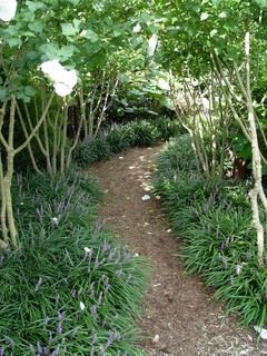 19 best Liriope Landscaping images on Pinterest | Garden ideas ... 19 best Liriope Landscaping images on Pinterest | Garden ideas ...