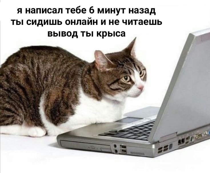 Марихуана клубника Марихуана клубника tor browser для андроид alpha