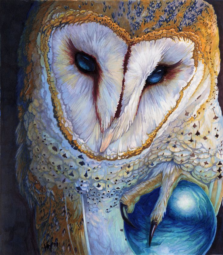 An Angheuol Story: The First Hunt - Page 5 C3a1c917d81e7b6e2e76d928f7cedeff--barn-owls-copic-markers