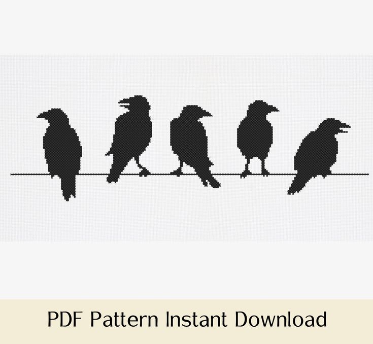 Squawk! PDF Free Download Squawk! PDF Free Download