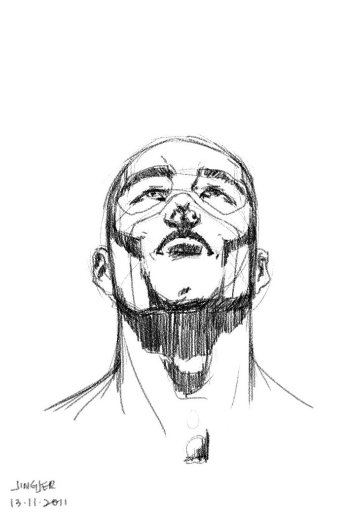 Human Head Sheet By Hoelho In 2020 Anatomy Art Anatomy Sketches Human Figure Drawing