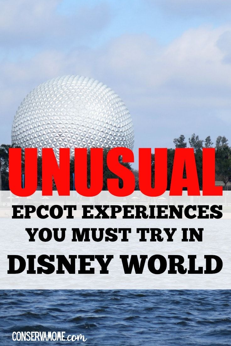 Full Menu Revealed Including Ala Carte And All You Care To Eat Options From Appetizers To Sandwiches To Dinners To Desserts New Menu Food Reviews Disney Food