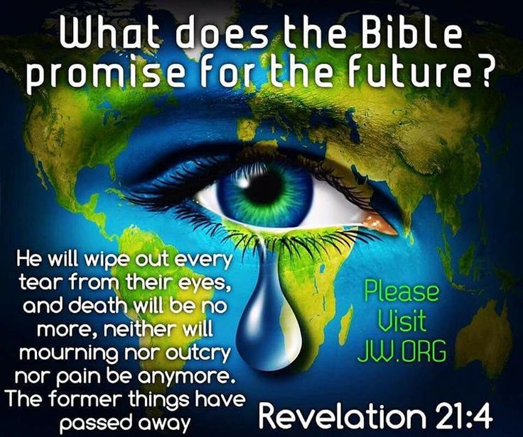 jehovah39s witnessesofficial website bible