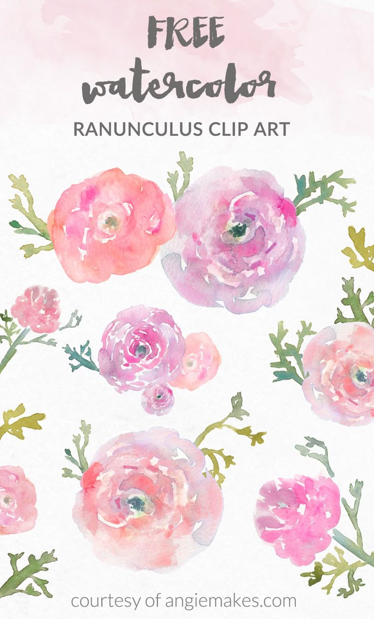 212 best graphic freebies images on pinterest free printables free floral vector