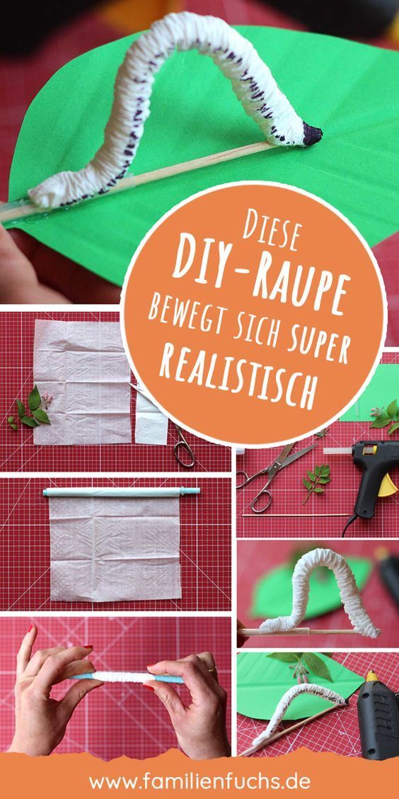 Realistische Raupe basteln – Kinderleicht und schnell Realistische Raupe basteln – Kinderleicht und schnell