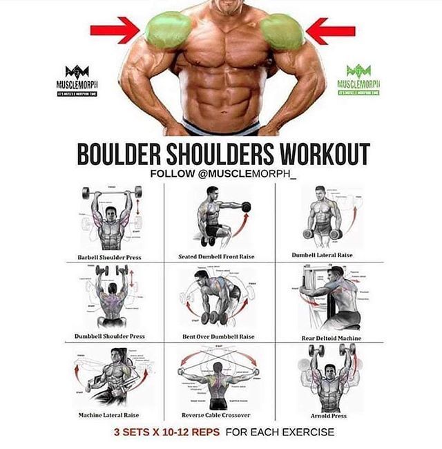 4567 best Workout images on Pinterest Exercise workouts, Exercise - new arnold blueprint ebook 4567 best Workout images on Pinterest Exercise workouts, Exercise - new arnold blueprint ebook