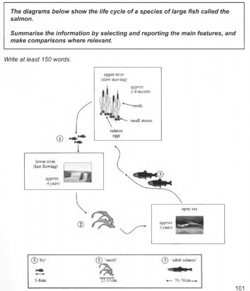 ielts writing task 1 life cycle of frog ielts task 1 natural process