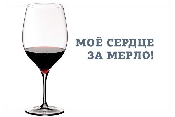 Анимация гномы, смешные картинки о вине