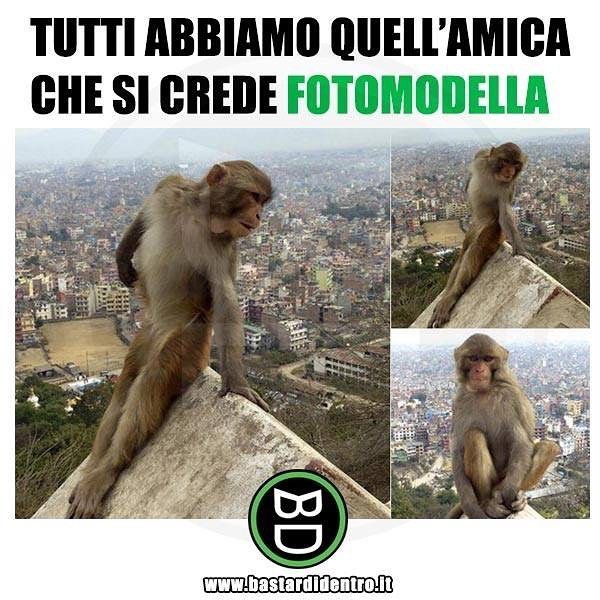 SCARICA BASTARDIDENTRO