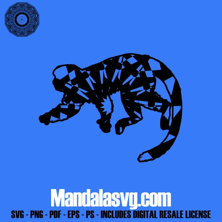 Download Squirrel Monkey Svgs Files Mandala PDF Mandala Mandala ...