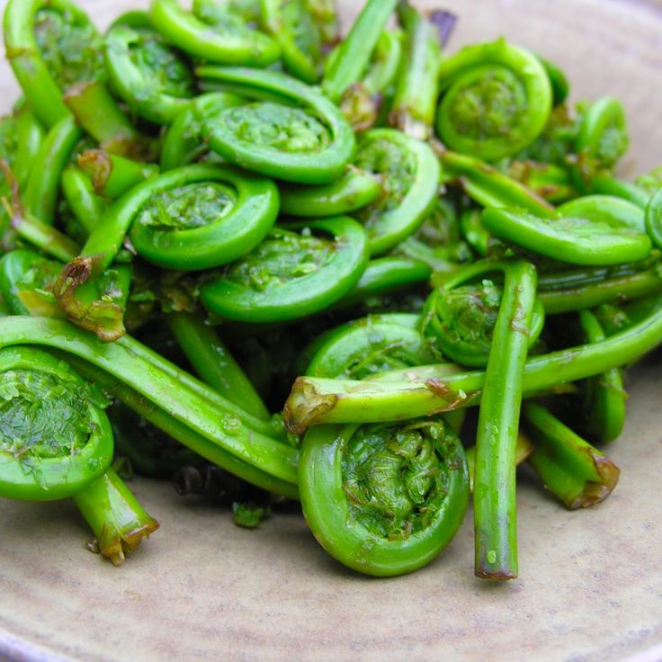 Fiddlehead Fern In Hindi Pin on Spring Seasonal Recipes