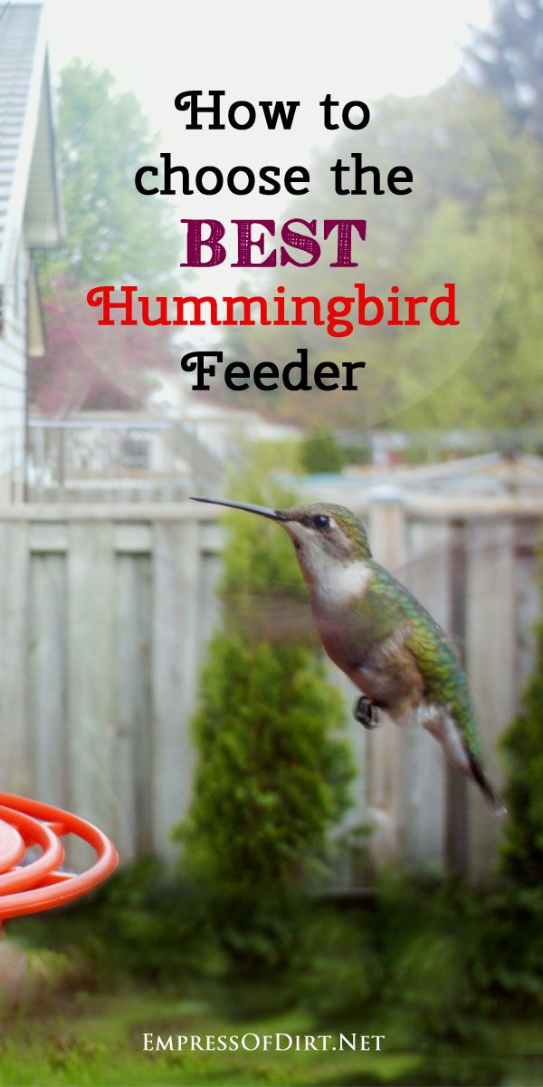 82 best hummingbird love images on pinterest butterflies 82 best hummingbird love images on pinterest butterflies