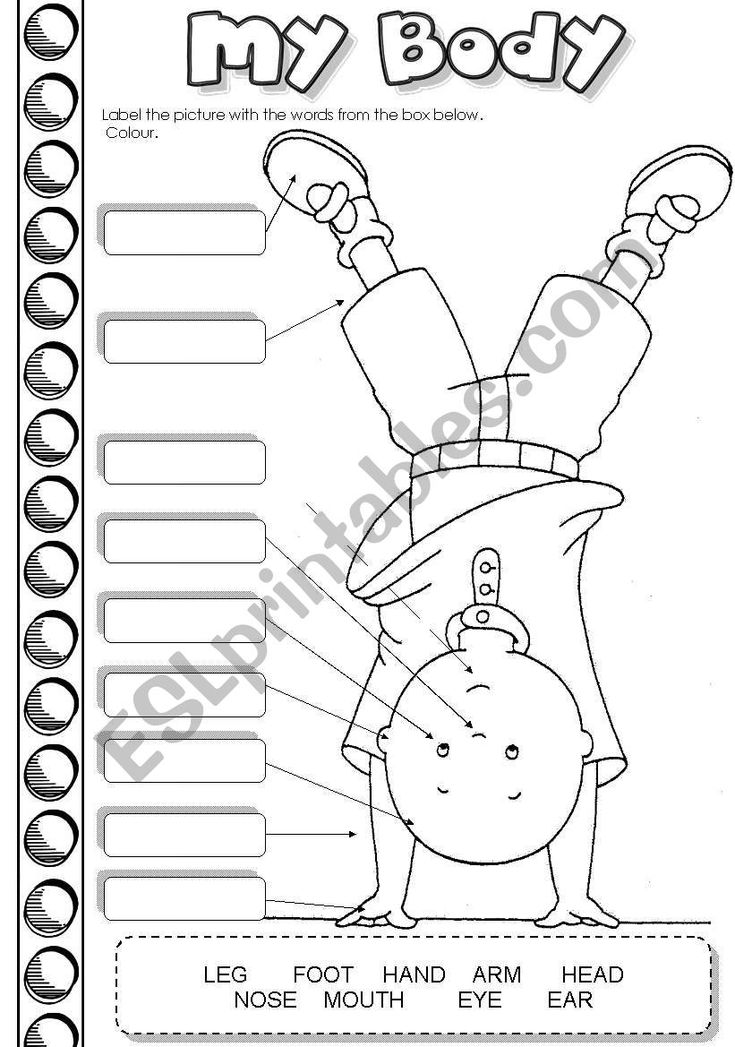 Sts label the picture using the words in the box. Caillou, Vocabulary Sts label the picture using the words in the box. Caillou, Vocabulary