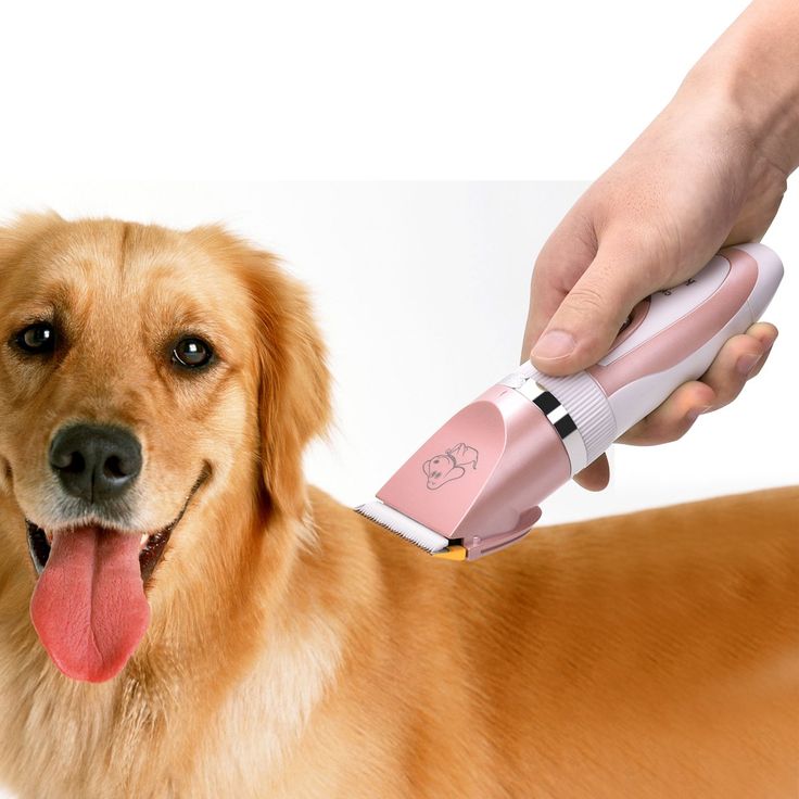 Pet Grooming Clippers Kedda Rechargeable Cordless Dog Grooming Clippers