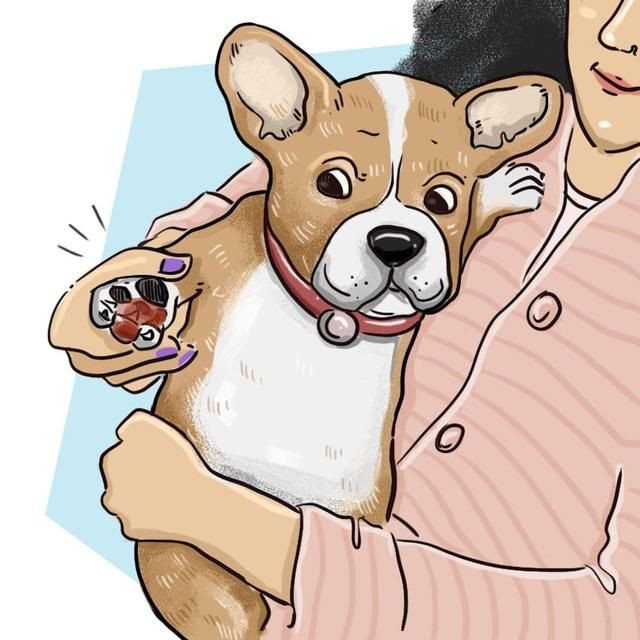 Puppy Broken Nail What To Do If Your Dog Cracks Tears Or Chips