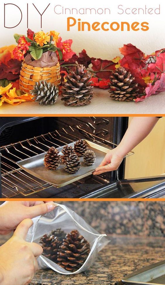 Best 25+ Fall decorating ideas on Pinterest | Autumn decorations ... Best 25+ Fall decorating ideas on Pinterest | Autumn decorations ...