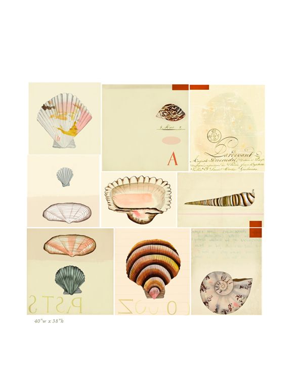 Natural History Art Prints Natural History Art Prints