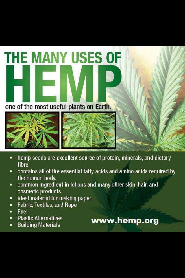 the uses and benefits of industrial hemp Despite its thousands of uses, industrial hemp is often overshadowed by marijuana “the problem lies in the government lumping all of these into one category. the uses and benefits of industrial hemp Despite its thousands of uses, industrial hemp is often overshadowed by marijuana “the problem lies in the government lumping all of these into one category.