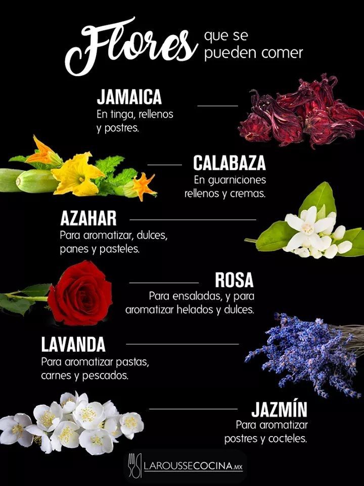 Flores Comestibles Especias Caseras Frutas Y Verduras Beneficios Hierbas Y Especias