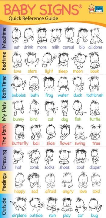 Best 25+ Baby development chart ideas on Pinterest Baby chart - baby development chart Best 25+ Baby development chart ideas on Pinterest Baby chart - baby development chart