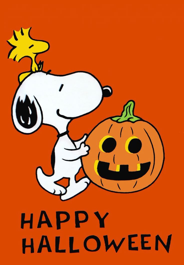Image result for happy halloween