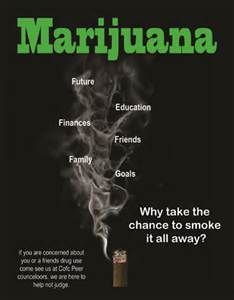 Essay on public service announcement