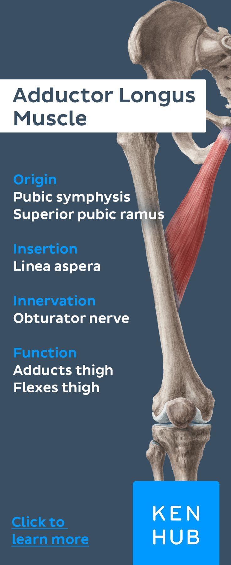 3619 best chiropractic la chiropratica images on pinterest shoulder symptom chart