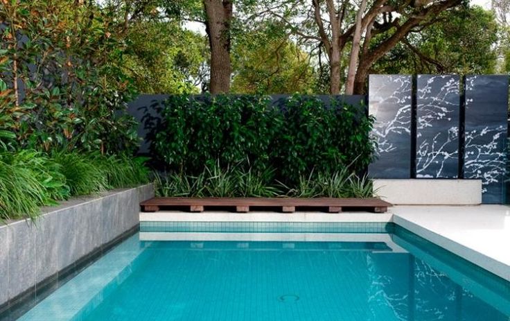 Pool im Garten - Stauden und Metallzaun bieten Sichtschutz - moderne gartengestaltung mit pool Pool im Garten - Stauden und Metallzaun bieten Sichtschutz - moderne gartengestaltung mit pool