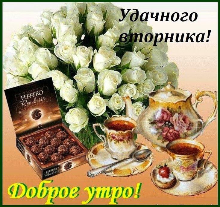 Картинки с добрым утром вторника прикольные и хорошего настроения