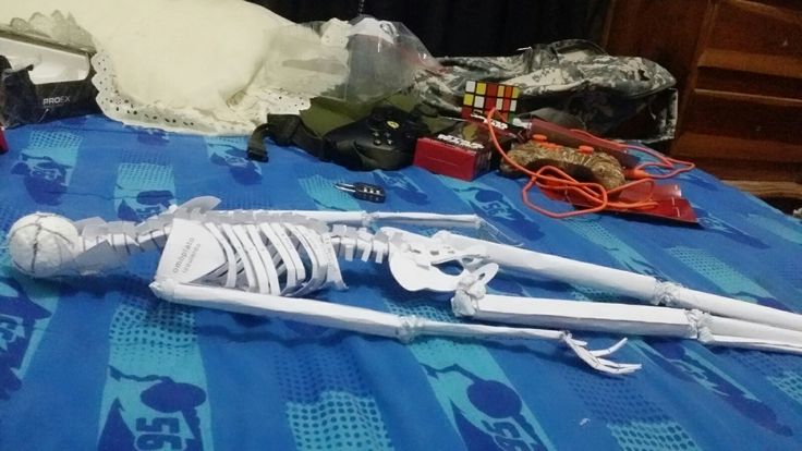 Skeletal system essay