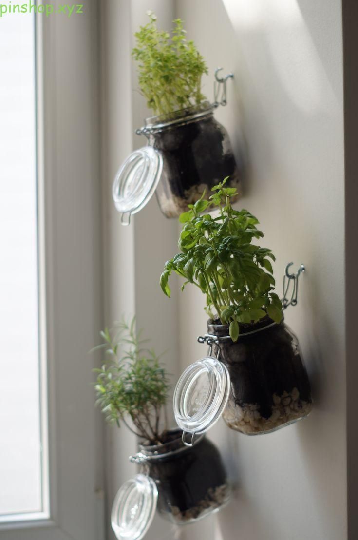 DIY Indoor-Kräutergarten: Schritt für Schritt Anleitung Diy herb DIY Indoor-Kräutergarten: Schritt für Schritt Anleitung Diy herb