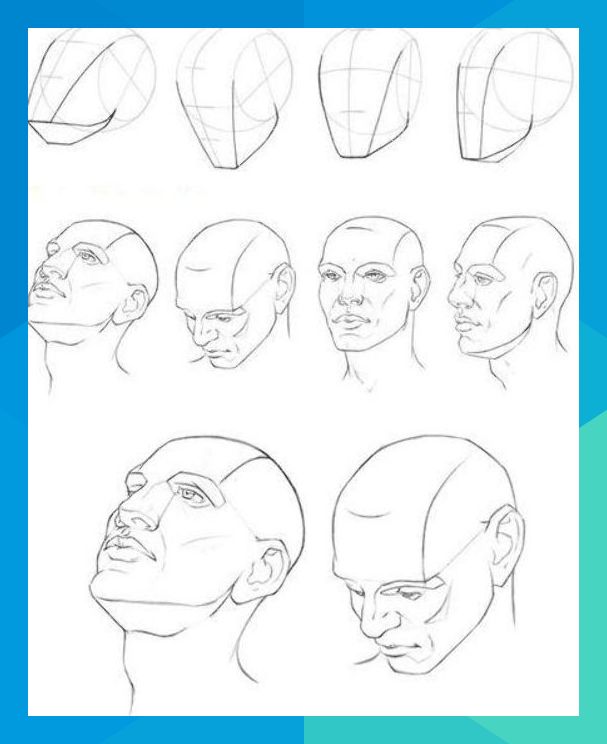 #ofelia95527 | Face drawing, Drawing heads, Step by step drawing