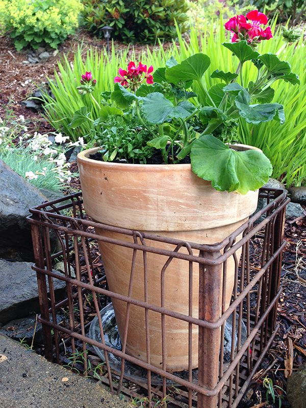 Milk Crates Display Potted Plants Might Help With Moving Them About As Well Milk Crates Display Potted Plants Might Help With Moving Them About As Well
