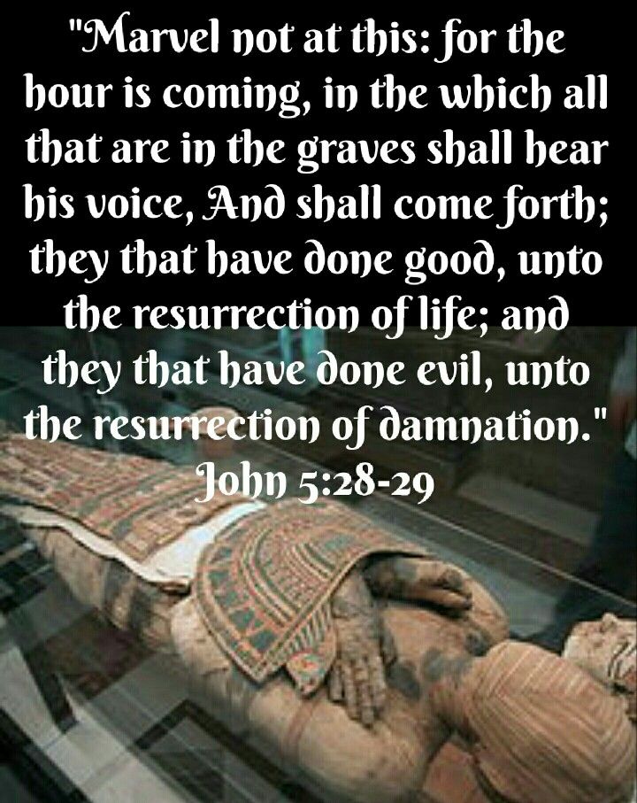 John 5 28 29 KJV Marvel Not At This For The Hour Is Coming In The john-5-28-29-kjv-marvel-not-at-this-for-the-hour-is-coming-in-the