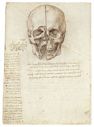 723 best Leonardo da Vinci images on Pinterest Drawings - leonardo da vinci resume 723 best Leonardo da Vinci images on Pinterest Drawings - leonardo da vinci resume