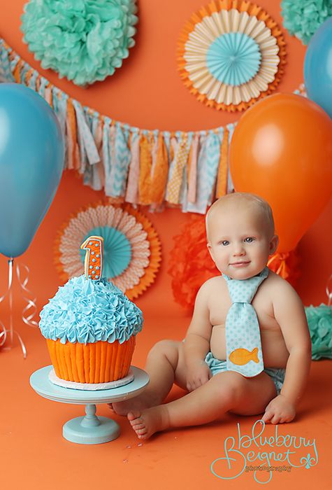 Farm Cake Smash Outfit Farm Cake Smash Outfit