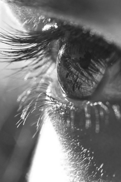 Augen